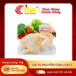 tran ga 2 da 1