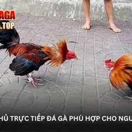 trang đa ga bj39