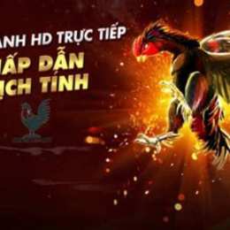 trang da ga truc tuyen