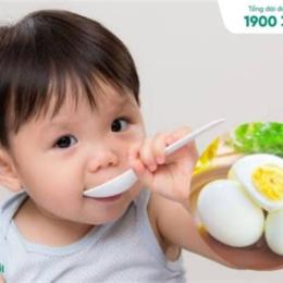 trẻ 6 tháng đã ăn được trứng gà chưa