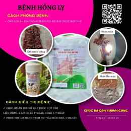 trị hồng lỵ vàng da trên gà