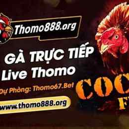trực tiếp bình luận đá gà thomo
