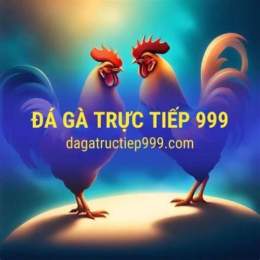 trực tiếp đá gà 999 hôm nay