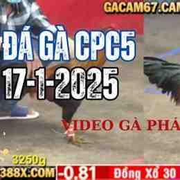 truc tiep da ga c 5