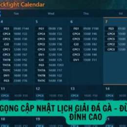 trực tiếp đá gà c3 tran 54