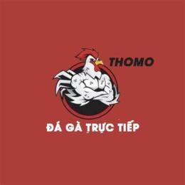 truc tiep đa ga đon thomo