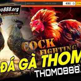 truc tiep đa ga kho mo