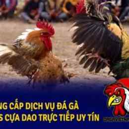 trực tiếp đá gà philippines sv388