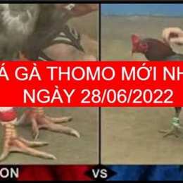 trực tiếp đá gà thomo 28 6