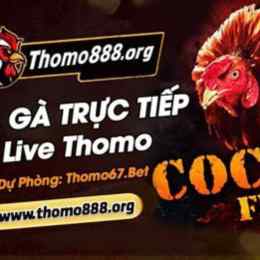 trực tiếp đá gà thomo binh luận viên