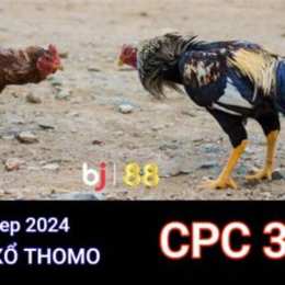 trực tiếp đá gà thomo ngày 12 tháng 7