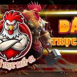 trực tiếp đá gà tre đá