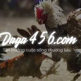 trực tiếp đá gà tructiepdaga video