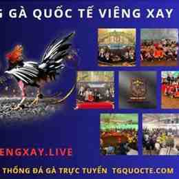 trực tiếp đá gà viengxay hôm nay