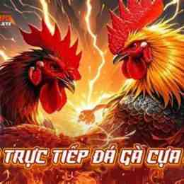 truc tiep ga da giai