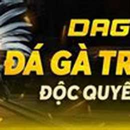 tt da ga c3 hom nay