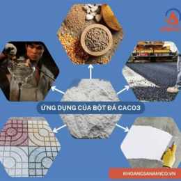 ứng dụng đá gà