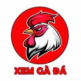 út tráng đá gà