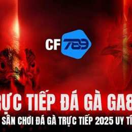 v88 đá gà trực tiếp