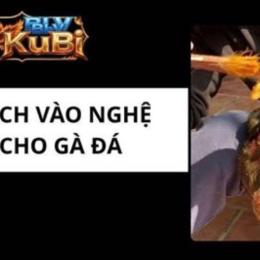 vao da ga 2bong.com