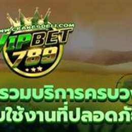 vip789 đá gà