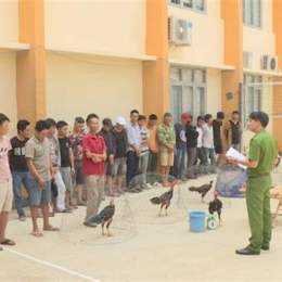 vụ án đá gà quận 6