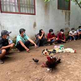 vụ bắt đá gà