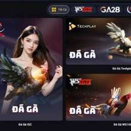 winmax nhà cái đá gà