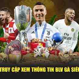 xem bóng đá gà siêu phệ