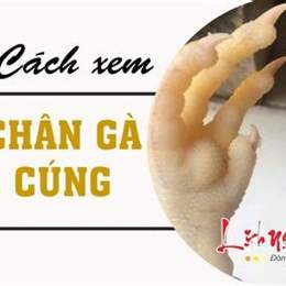 xem chân gà đã luộc