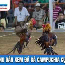 xem da ga campuchia.live