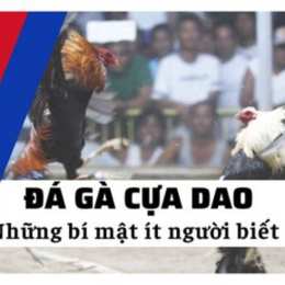 xem da ga cua dao philippin