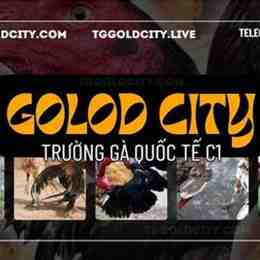 xem đá gà gold city
