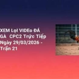 xem đá gà trận 21 c3