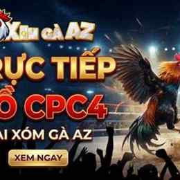 xem đá gà trực tiếp bồ tonhon