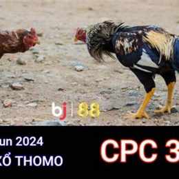 xem đá gà trực tiếp c3 campuchia