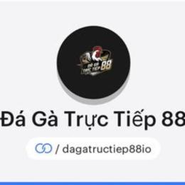 xem đá gà trực tiếp hồ chí minh
