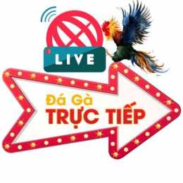 xem da ga truc tiep tv