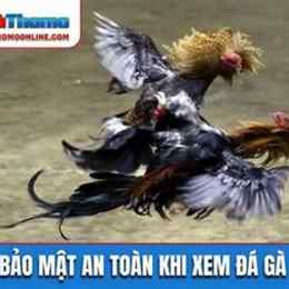 xem da ga truc tiep68