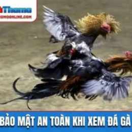 xem da ga tuc tiep