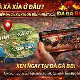 xem đá gà xà xía