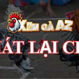 xem lại đá gà cpc3 hôm qua