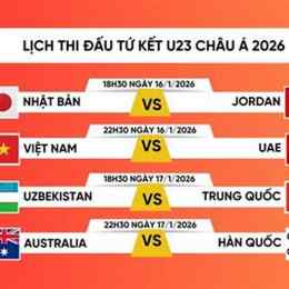 xem lịch đá gà