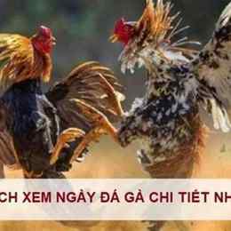 xem ngay da ga chuoi