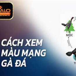 xem ngày đá gà màu mạng