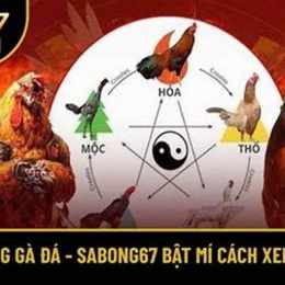 xem ngũ hành gà đá
